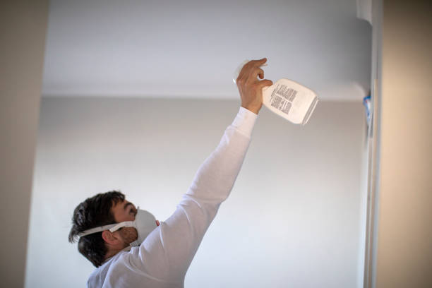 Best Water Damage Restoration  in Greenfield, IL