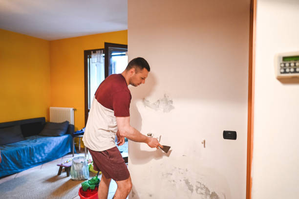 Best Emergency Mold Removal  in Greenfield, IL